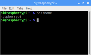 Raspberry Pi: Changing the Hostname - Radish Logic
